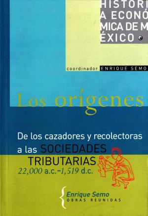 Cover of the book Los orígenes by Justo Sierra