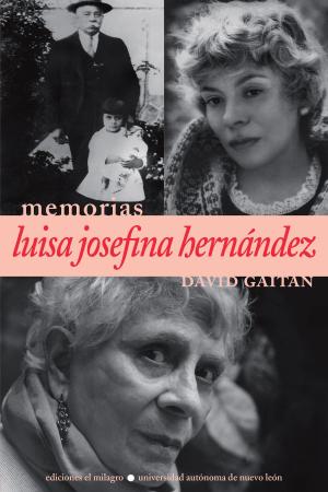 Cover of the book Luisa Josefina Hernández by Elena Marcheschi