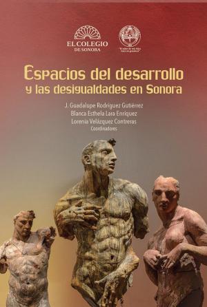Book cover of Espacios del desarrollo y las desigualdades en Sonora