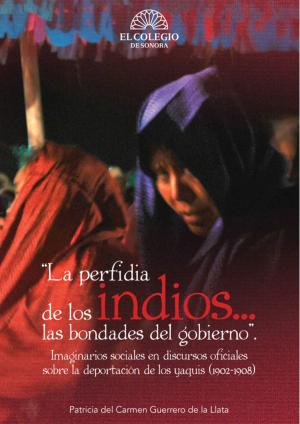bigCover of the book La perfidia de los indios las bondades del gobierno by 
