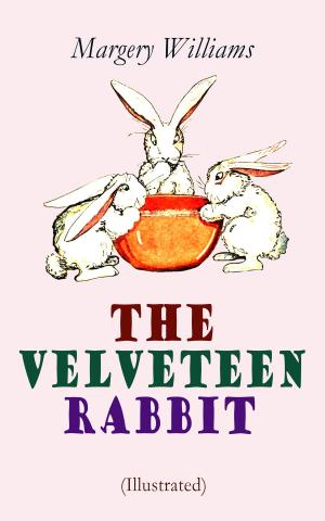 Book cover of The Velveteen Rabbit (Illustrated)