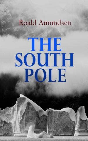 Cover of the book The South Pole by Arnold Bennett