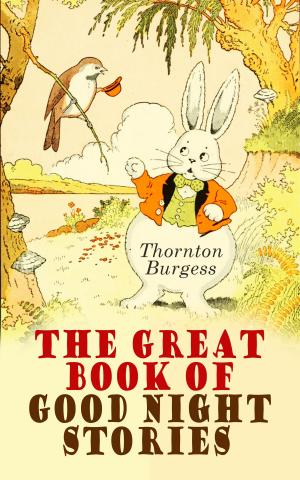 Cover of the book The Great Book of Good Night Stories by Paul Busson