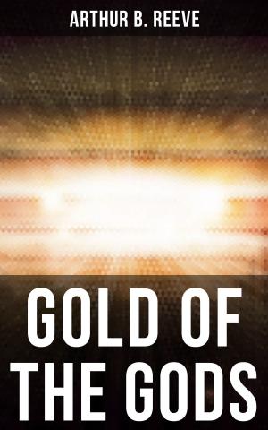 Cover of the book GOLD OF THE GODS by Sheri Colberg-Ochs