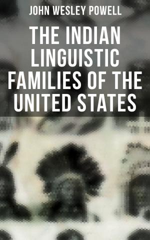 Cover of the book The Indian Linguistic Families of the United States by Karl Bröger