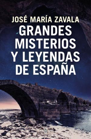 Cover of the book Grandes misterios y leyendas de España by María Luz Gómez