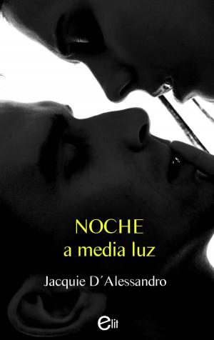 Cover of the book Noche a media luz by Mallory Kane