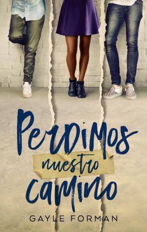 Cover of the book Perdimos nuestro camino by Tahereh Mafi
