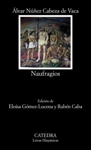 Cover of the book Naufragios by Gutmaro Gómez Bravo