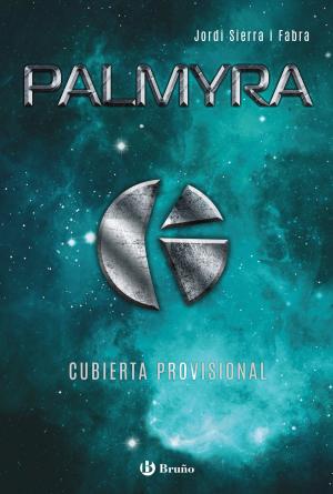 Cover of the book Palmyra by Gerard Van Gemert