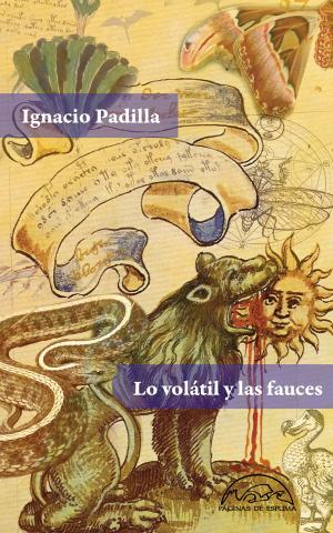 Cover of the book Lo volátil y las fauces by Iban Zaldua