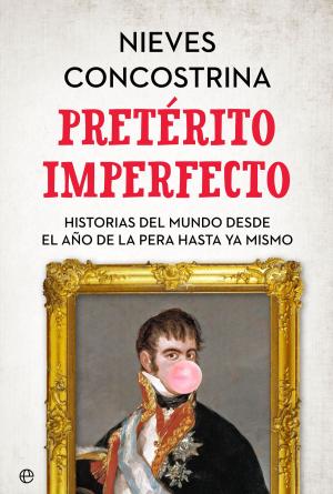Cover of the book Pretérito imperfecto by Silvia Barquero