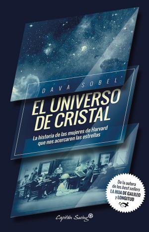 Cover of the book El universo de cristal by Lucía Lijtmaer
