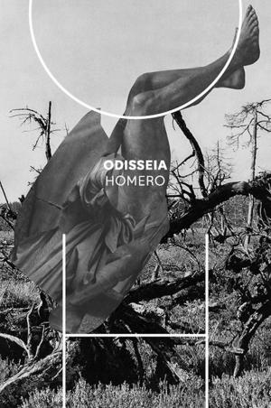 Book cover of Odisseia