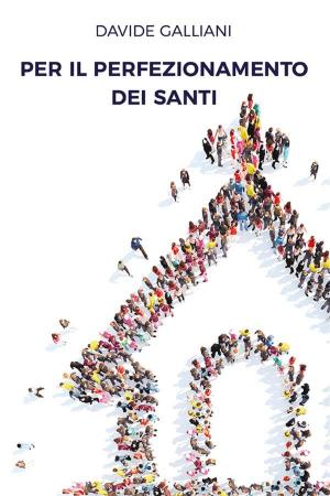 Cover of the book Per il perfezionamento dei santi by Enea Tonon