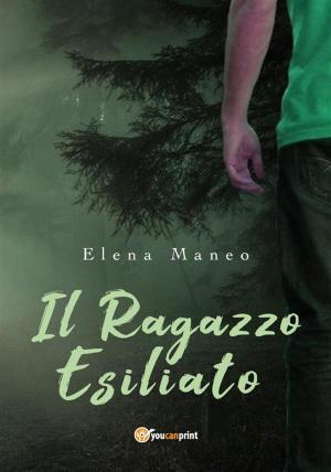 Cover of the book Il ragazzo esiliato by Graziella Dragoni