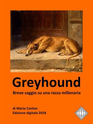 Cover of the book Greyhound. Breve saggio su una razza millenaria. by Mario Canton