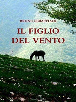 Book cover of Il figlio del vento