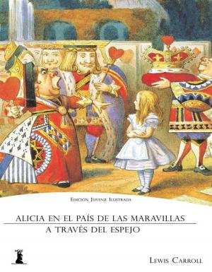 Cover of the book Alicia en el País de las Maravillas by Anne M Angell