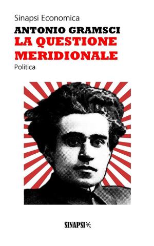 Cover of the book La questione meridionale by Arthur Schopenhauer