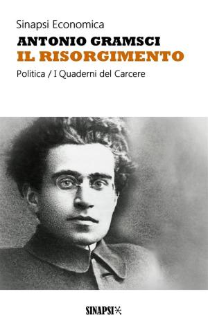 Cover of the book Il Risorgimento by Giuseppe Garibaldi