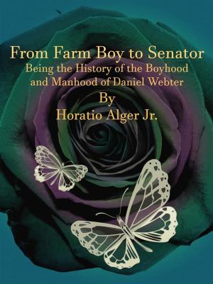 Cover of the book From Farm Boy to Senator by E. F. Benson