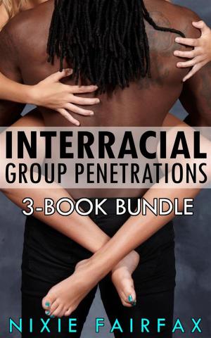 Cover of Interracial Group Penetrations: 3-Book Bundle