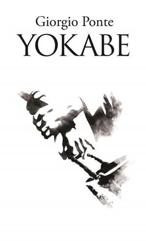 Cover of YOKABE. Sotto il Cielo della Palestina:3