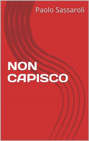 Cover of the book Non capisco by Paolo Sassaroli, Paolo Sassaroli