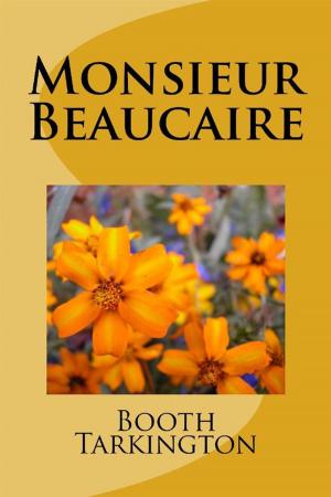 Book cover of Monsieur Beaucaire