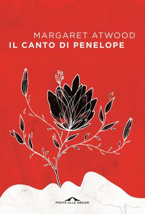 Book cover of Il canto di Penelope