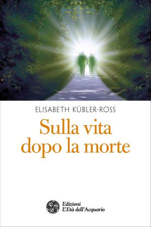 Cover of the book Sulla vita dopo la morte by Tre Iniziati