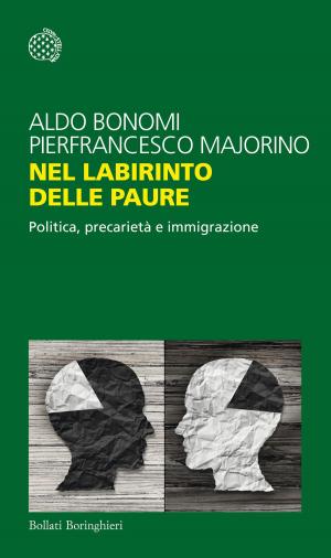 Cover of the book Nel labirinto delle paure by Jim Al-Khalili