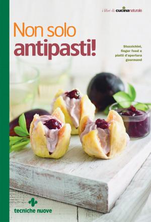 Cover of the book Non solo antipasti! by Manuela Pompas