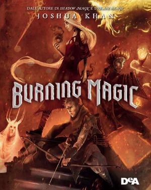 Cover of the book Burning magic by Aa. Vv.