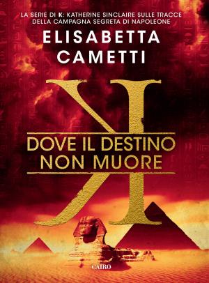 Cover of the book K - Dove il destino non muore by F Makay