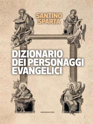 Cover of the book Dizionario dei personaggi evangelici by Paolo Curtaz