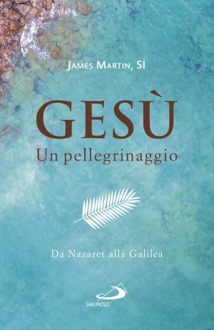 Cover of the book Gesù. Un pellegrinaggio by Xabier Larrañaga