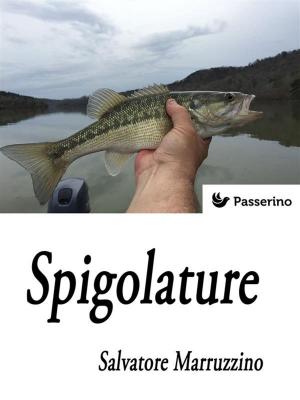 Cover of the book Spigolature by Maria Messina