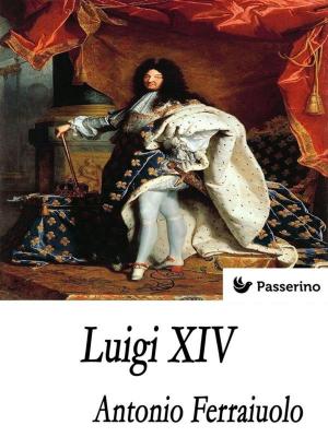 Book cover of Luigi XIV