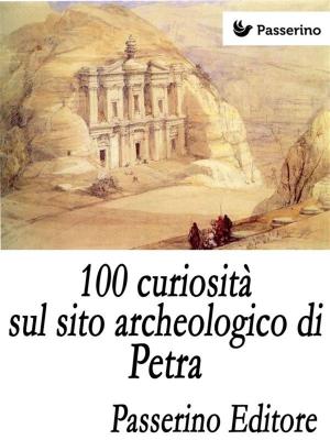 Cover of the book 100 curiosità sul sito archeologico di Petra by Ken Schweim