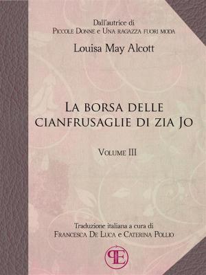 Book cover of La borsa delle cianfrusaglie di Zia Jo (Vol. III)