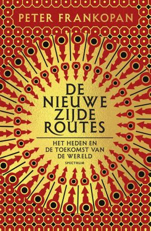 Cover of the book De nieuwe zijderoutes by Mirjam Mous