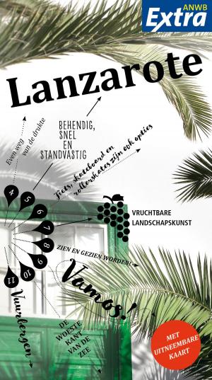 Cover of the book Lanzarote by ANWB