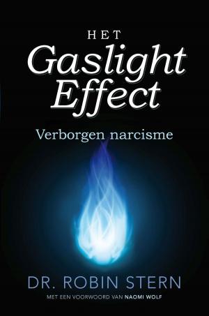 Cover of the book Het gaslighteffect by Julia Burgers-Drost