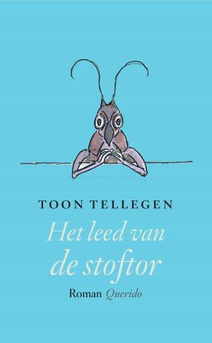 Cover of the book Het leed van de stoftor by Désanne van Brederode