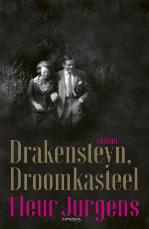 Cover of Drakensteyn, Droomkasteel