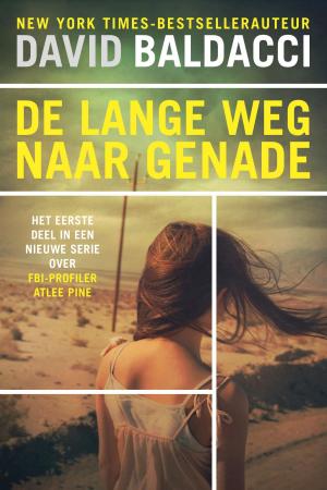 Cover of the book De lange weg naar genade by Eben Alexander