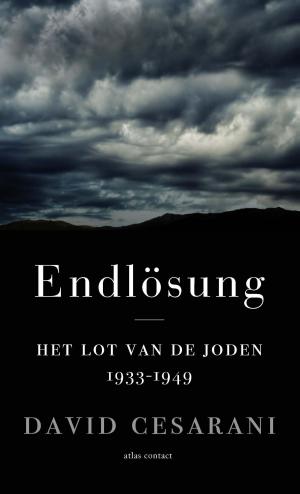 Cover of the book Endlösung by Oek de Jong