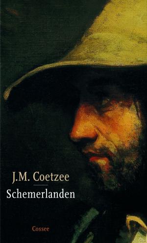 Cover of the book Schemerlanden by Larry Huddleston